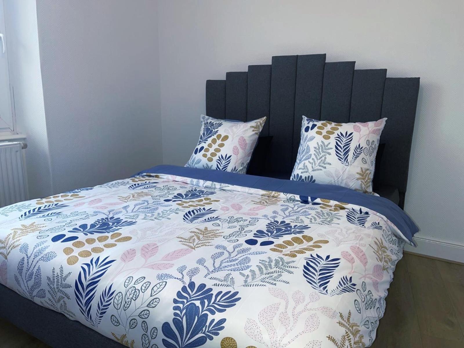 Magnifique Appartement Charmant T3 80M2 Parking Gratuit Rosheim Dış mekan fotoğraf